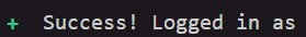 Terminal Firebase Login Success