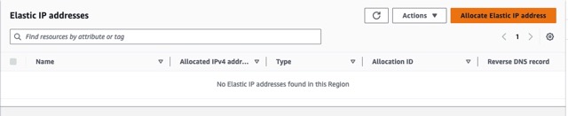 Elastic IPs