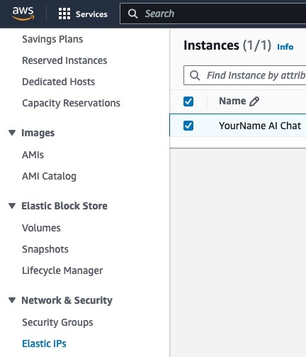 Elastic IPs